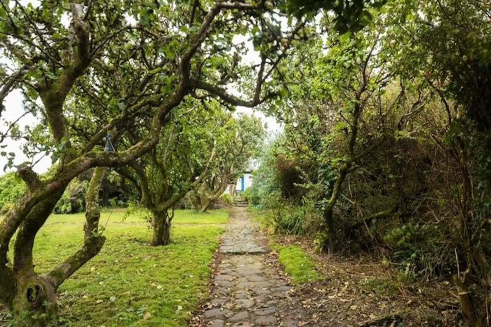Maison à Ballyconneely Galway-Niet-getagd