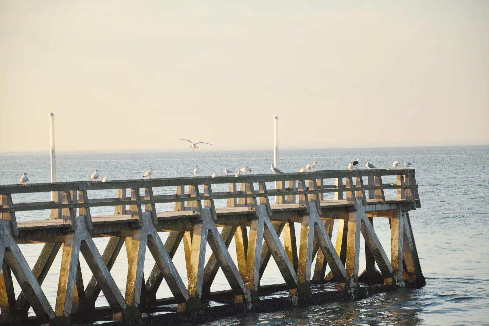 Gite Le Jonquet-Gebieden zomer 5km