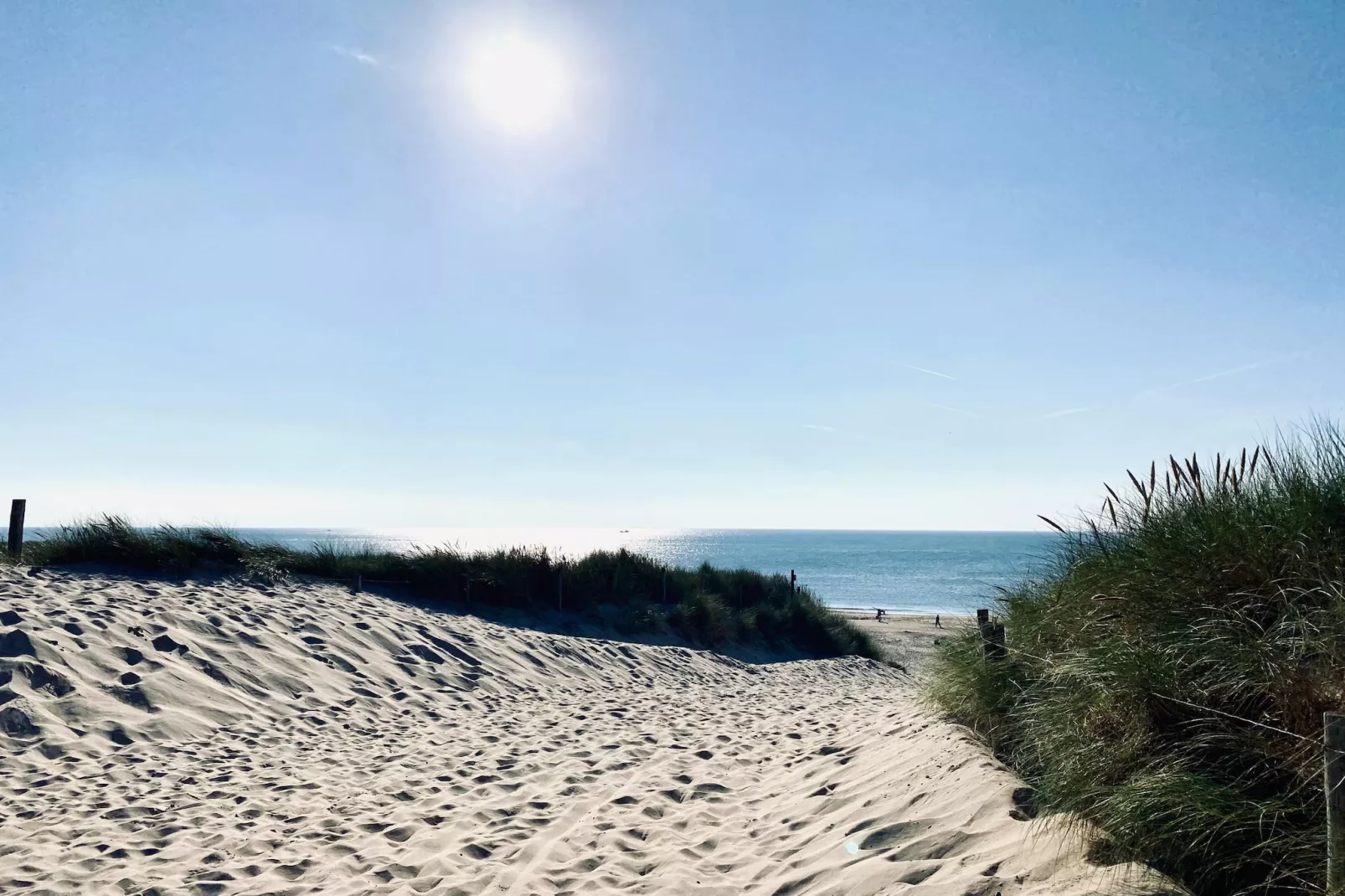 INFINITY-Gebieden zomer 5km