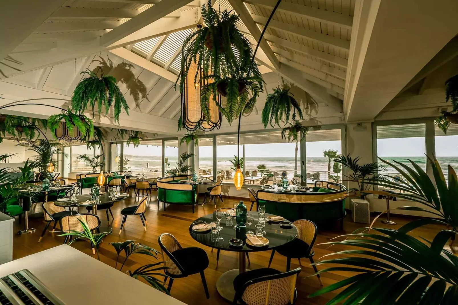 CT 158 - Lotus Jardinana-Gebieden zomer 1km