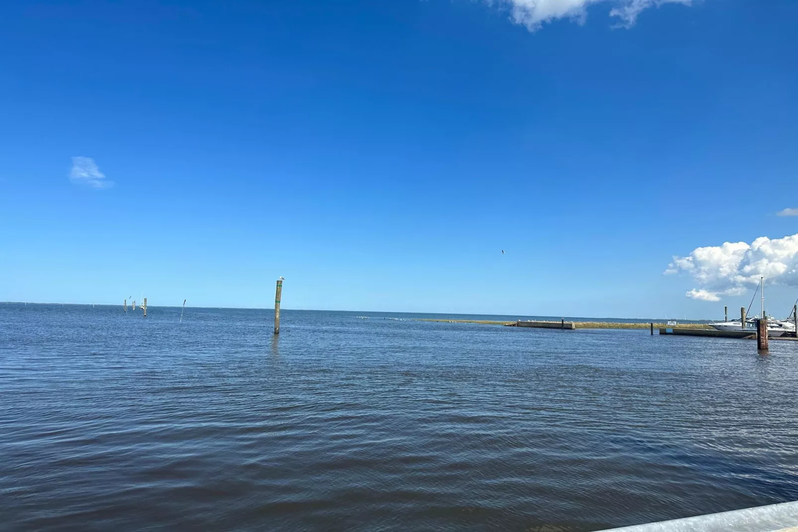 Ferienhaus Seeschwalbe-Gebieden zomer 5km