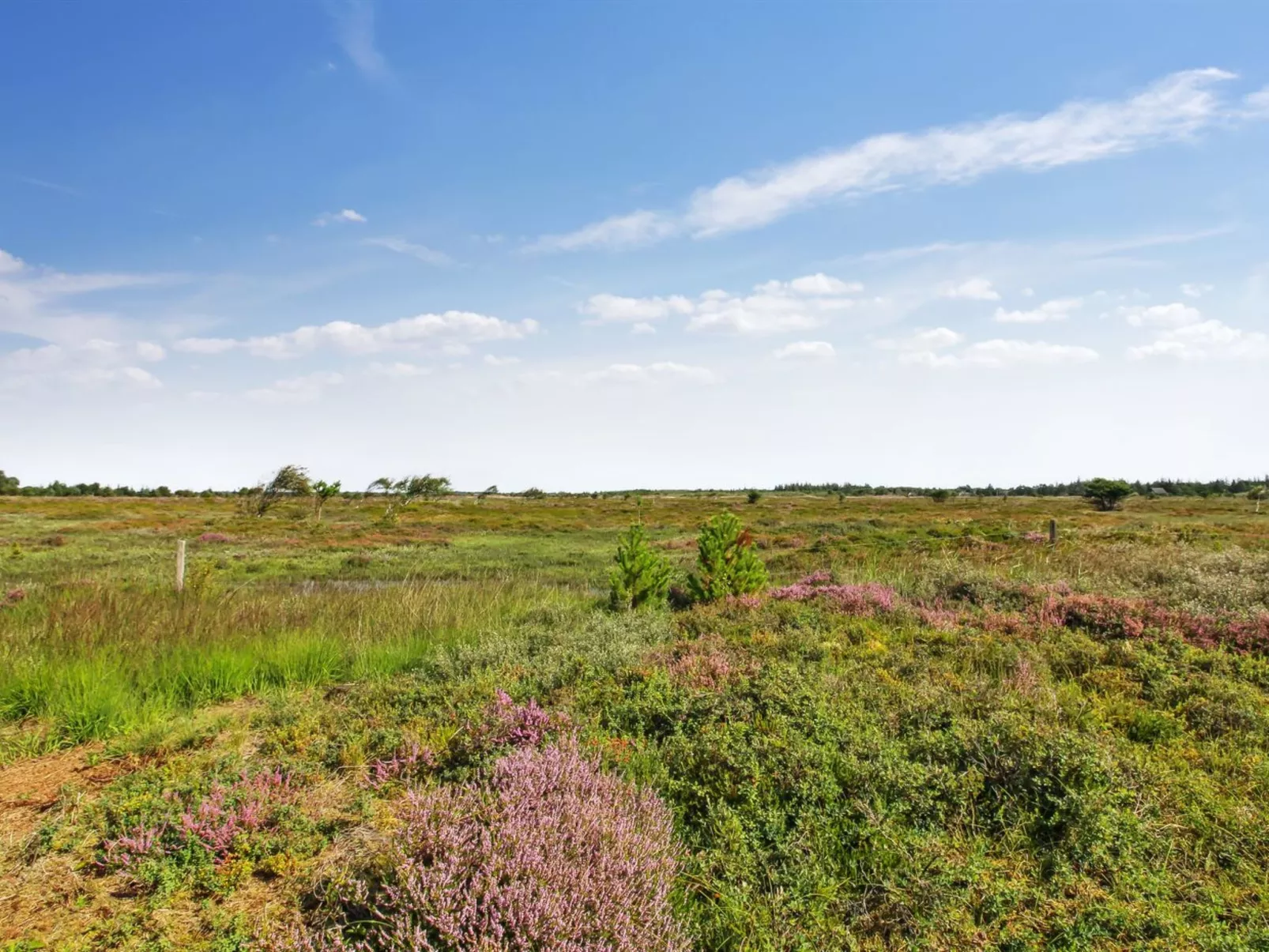 "Golubinka" - 2.5km from the sea-Buiten
