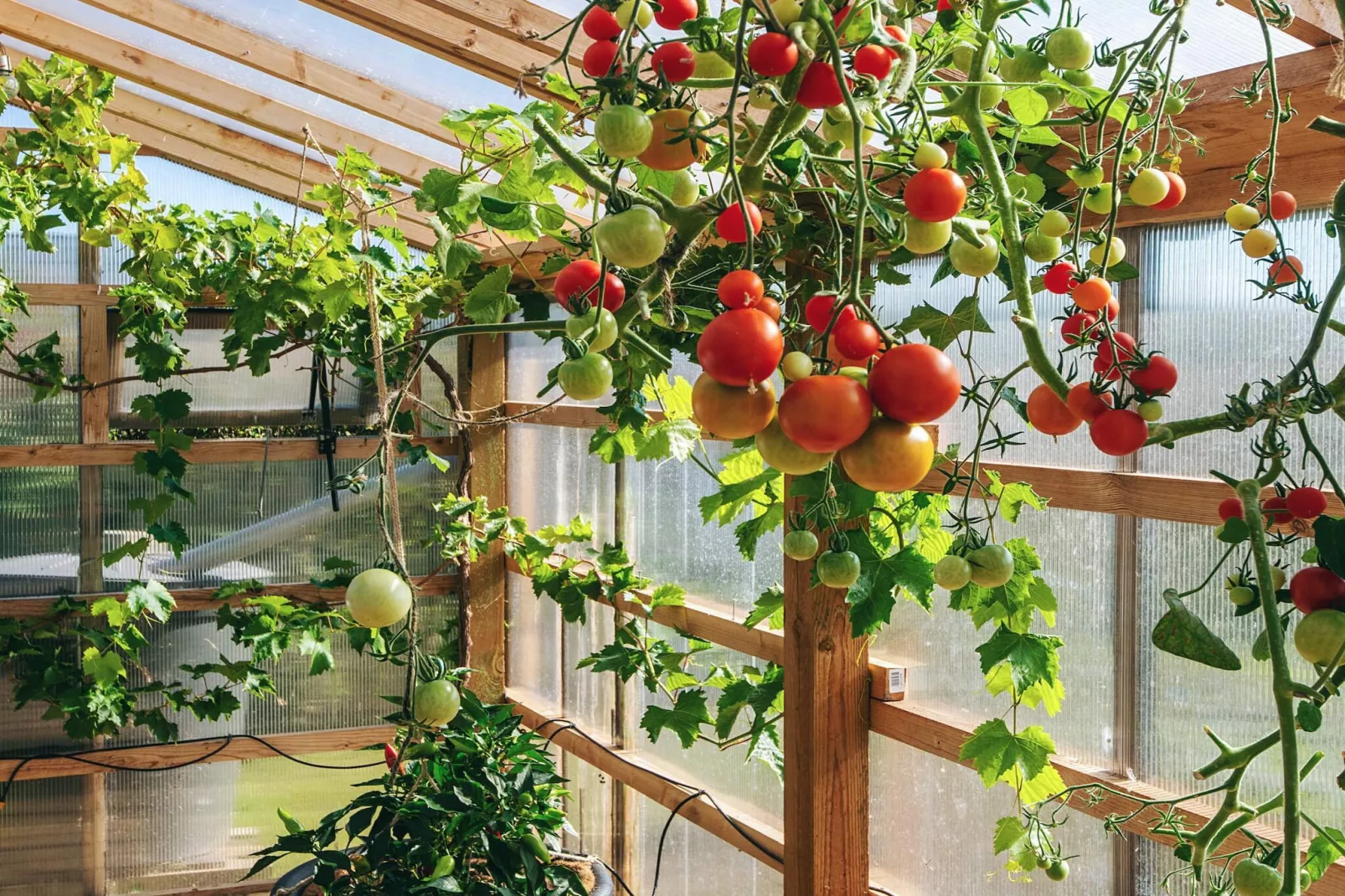 6 Personen vakantie huis in Ebeltoft-Binnen