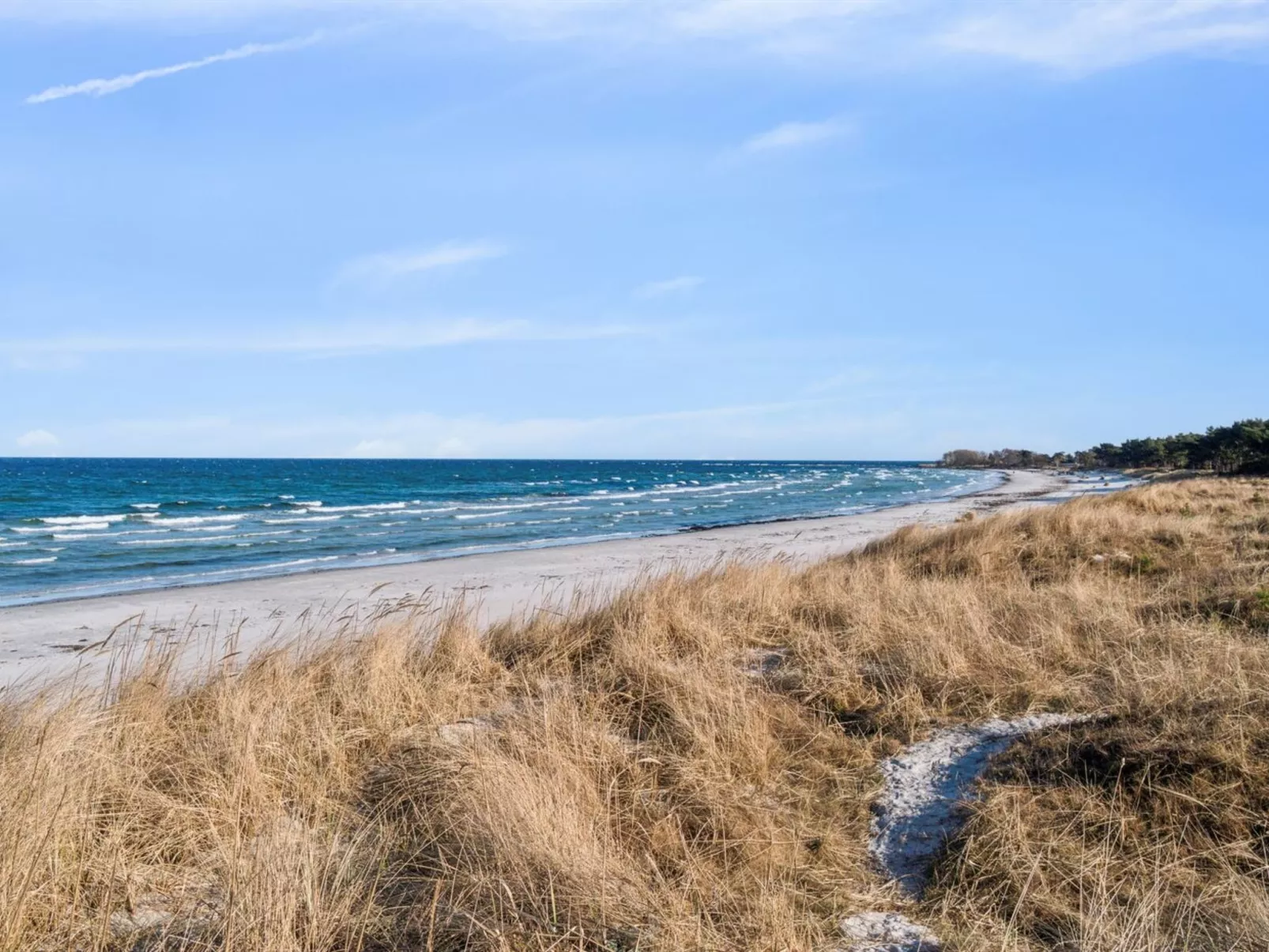 "Laurentius" - 50m from the sea-Buiten