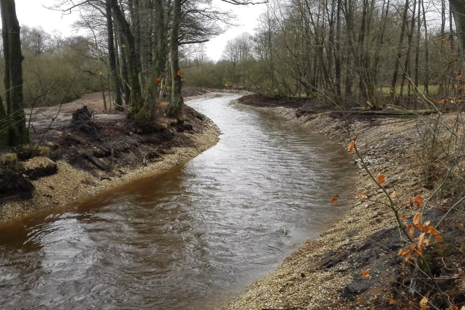 5 sterren vakantie huis in Ansager-Waterzicht