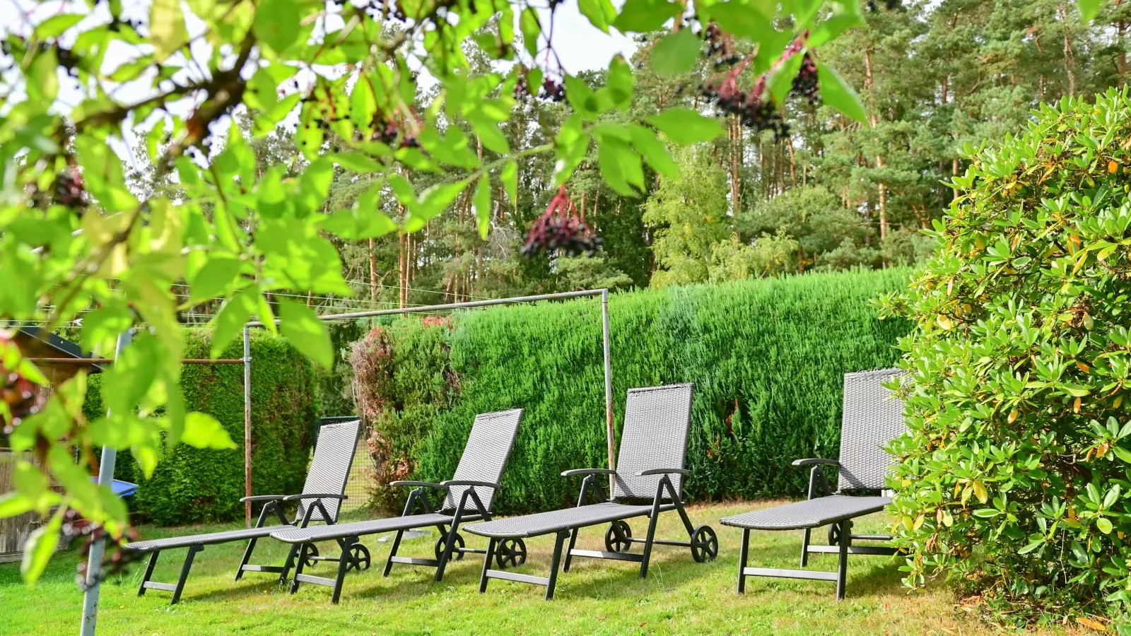 Bärenhöhle-Tuinen zomer