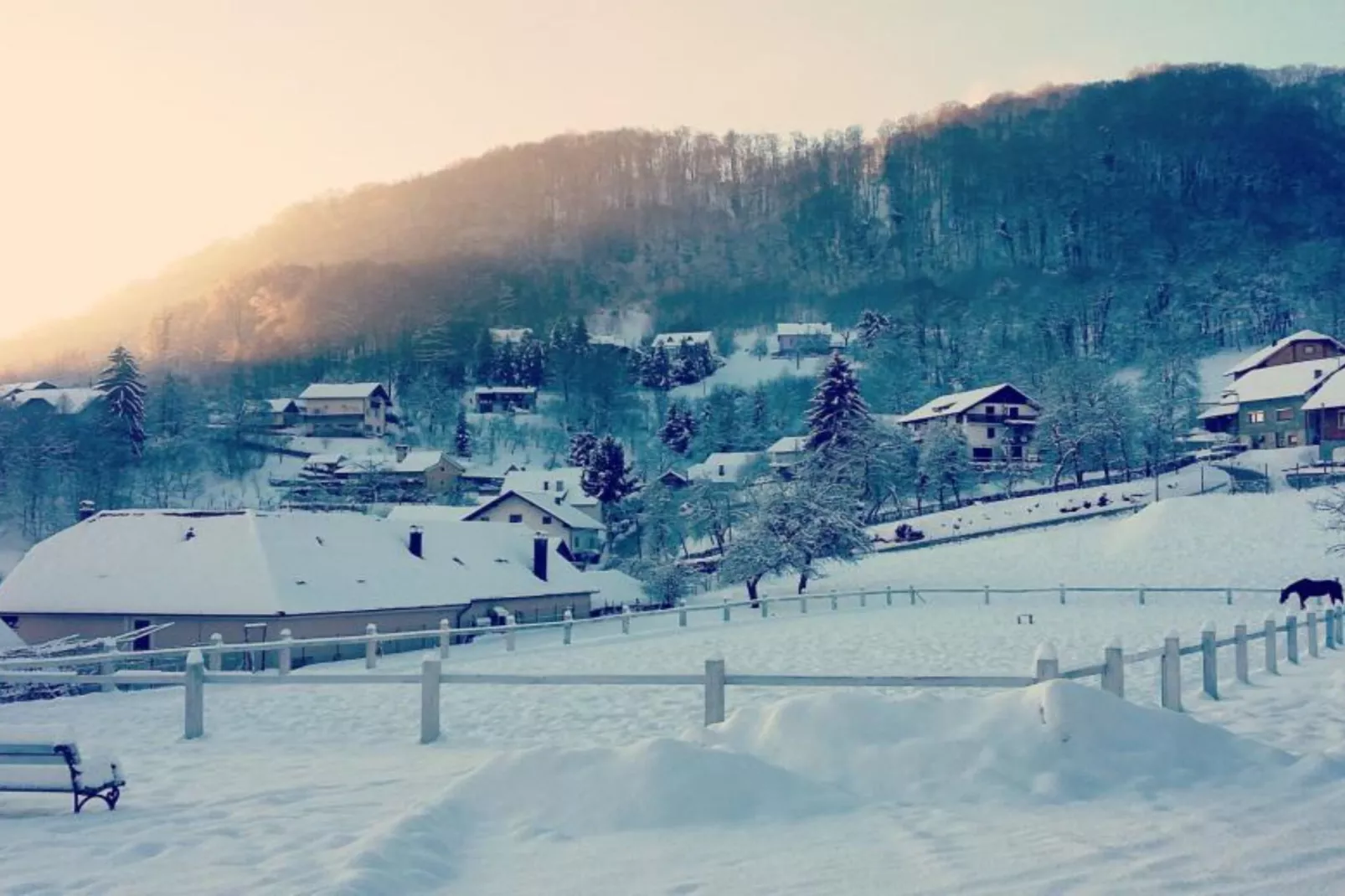 Zevnik Quiet Retreat with Stunning Views and Equestrian Activities - Standard One Bedroom Apartment-Buitenlucht