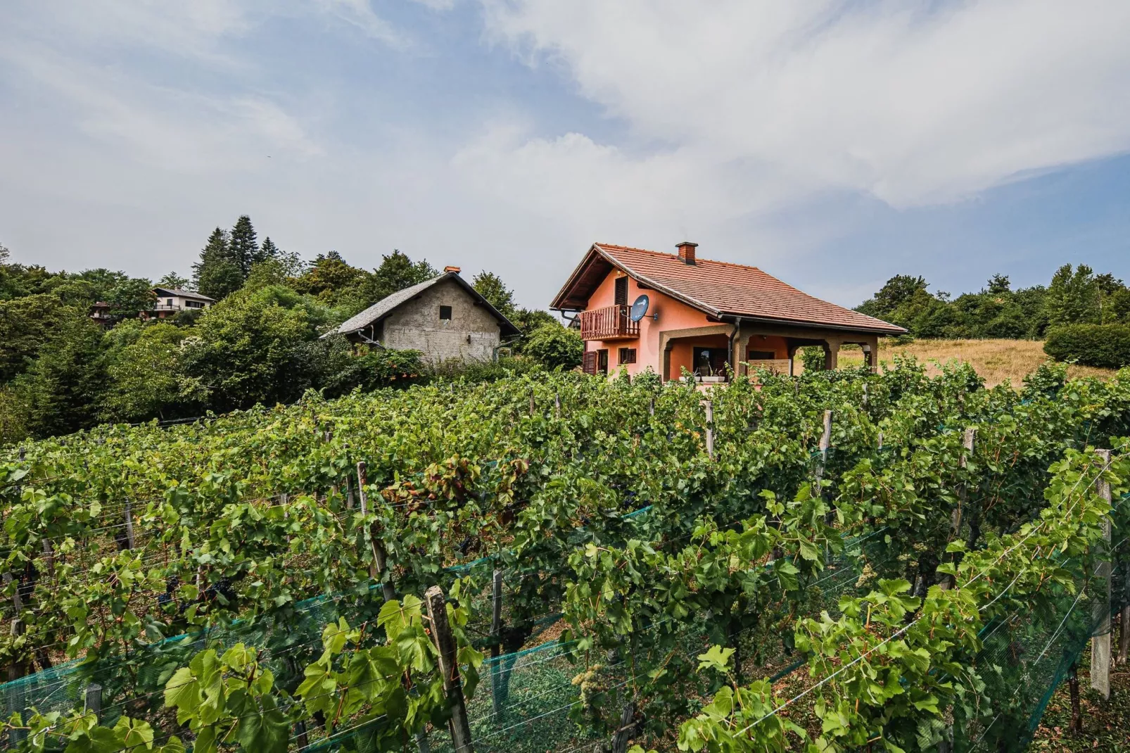 Harvest Horizon Holiday Home with Sauna - One Bedroom Holiday Home-Buitenlucht