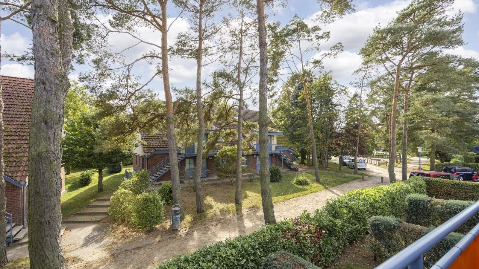 Papillon 11-5-Uitzicht zomer