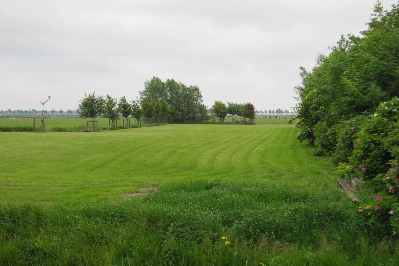 BELLEVUE-Gebieden zomer 1km