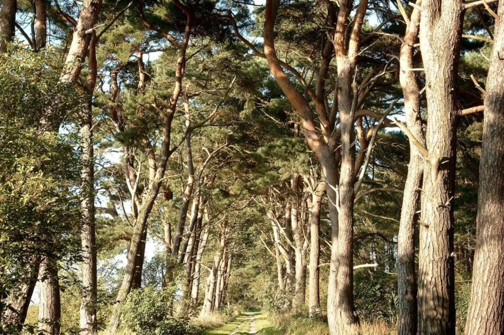 Hausboot in Peenemünde-Gebieden zomer 20km