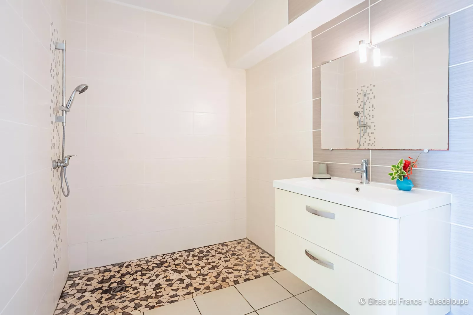 Complexe entier-Résidence-Villa-Salle de Bain amenagée-Vue mer-Badkamer