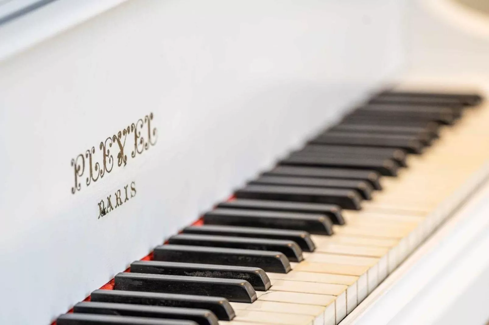 LL-13-ROSOLIEL-Niet-getagd