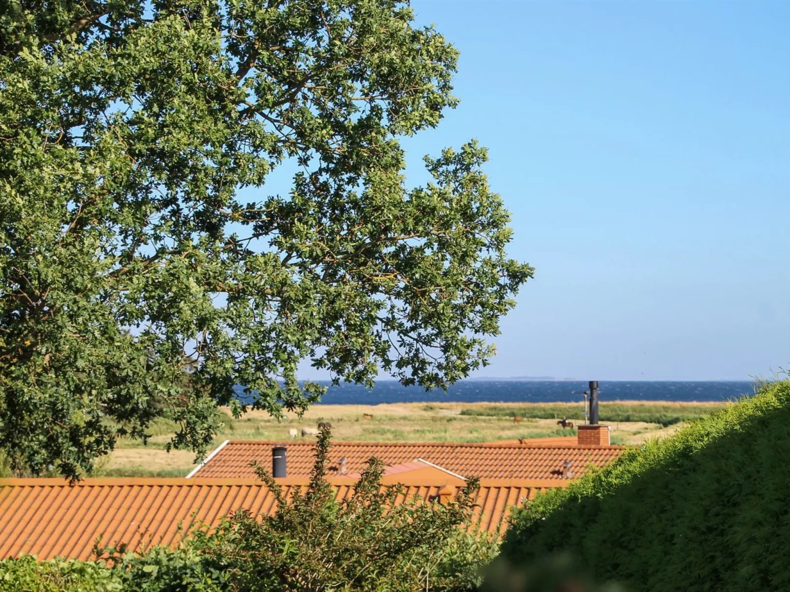 "Roel" - 500m from the sea-Buiten