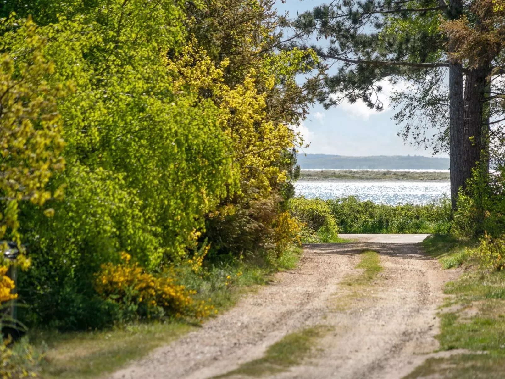 "Rikkie" - 150m to the fjord-Buiten