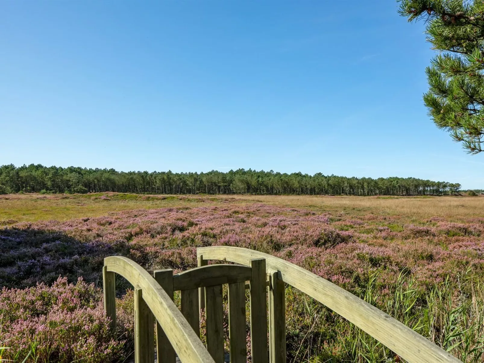 "Tea" - 2.7km from the sea-Buiten