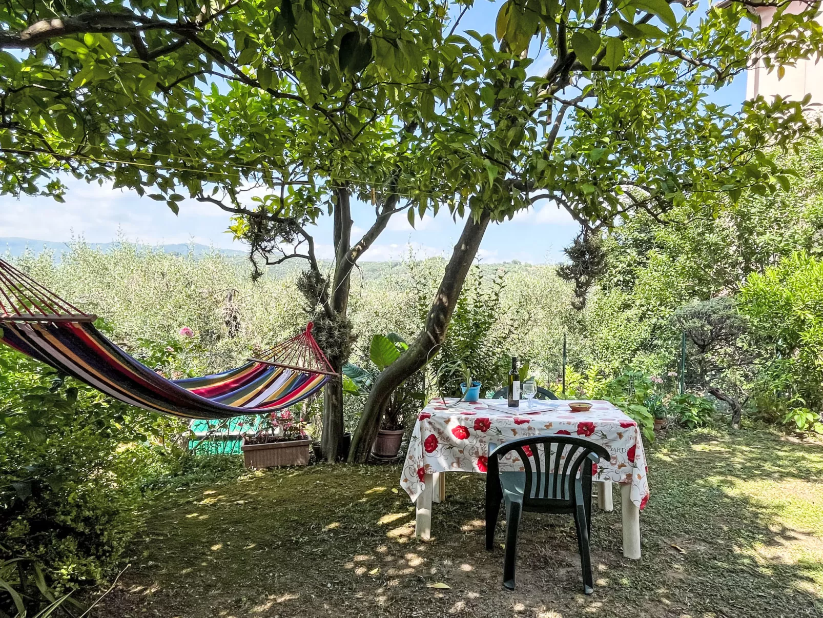 Elisa (DOL127)-Buiten