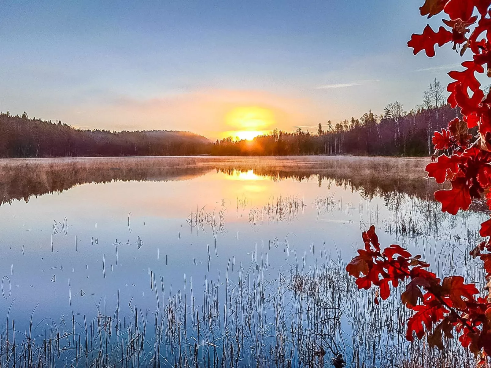 Villa ahomoisio-Binnen