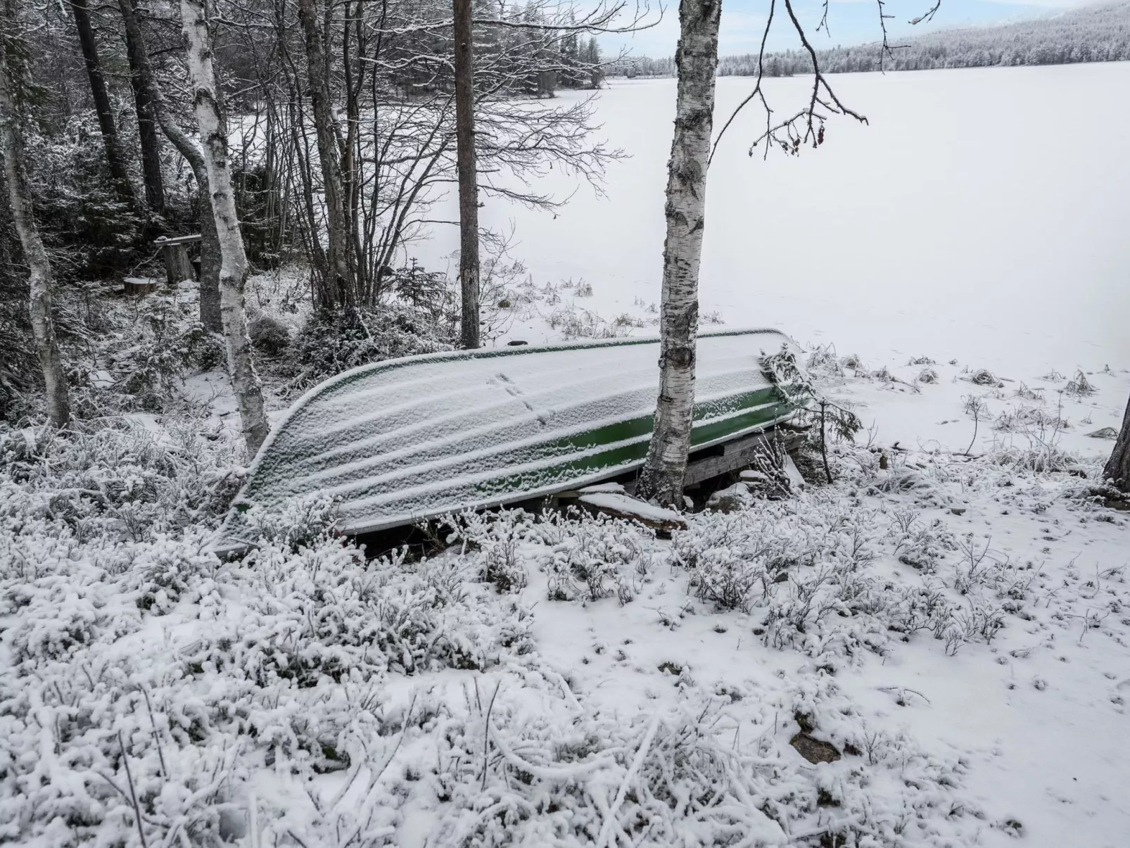Kantolan veska-Binnen