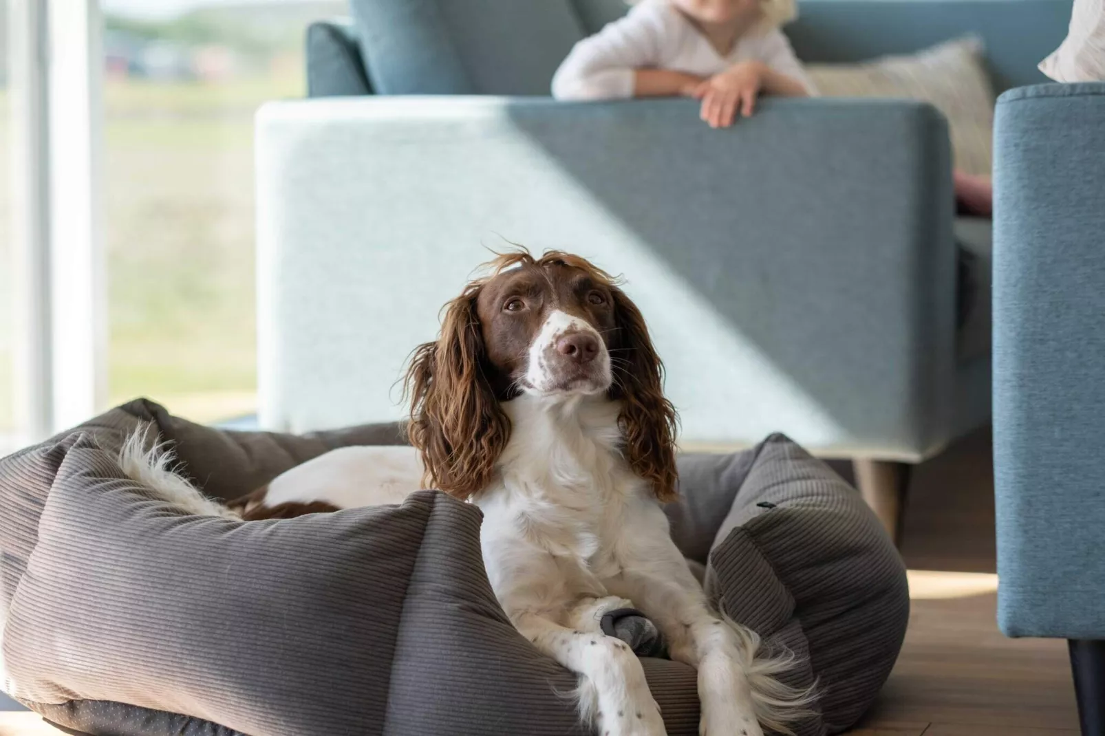 5 sterren vakantie huis in Bogense-Binnen