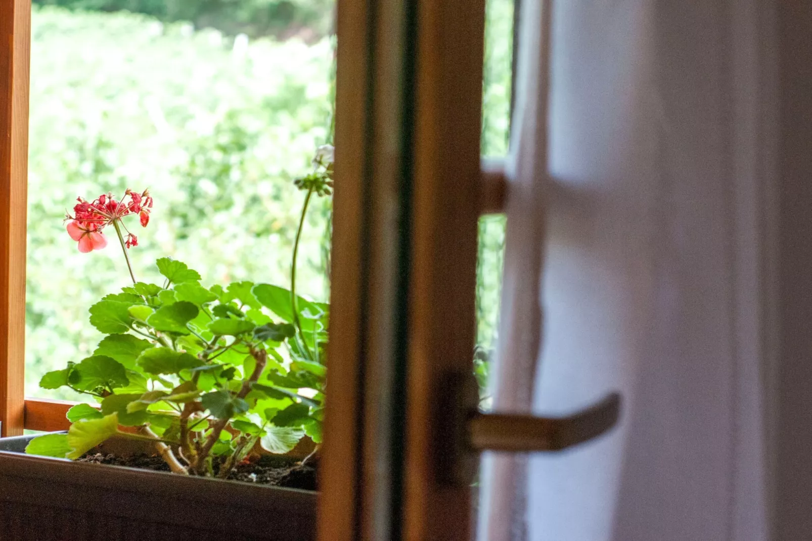 Sunny Two Bedroom Retreat in Beautiful Bizeljsko - Two Bedroom Country House-Uitzicht