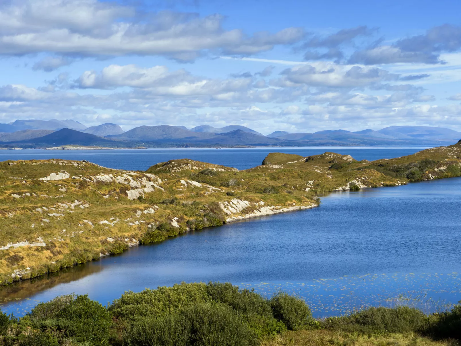 Grove Lodge No 5 (2 Bed)-Buiten