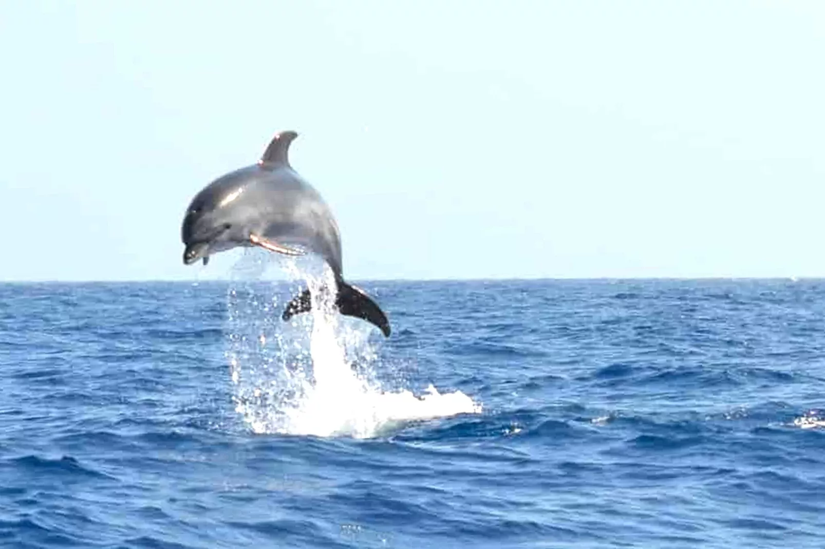 Delfin 101A Jardin Privado-Sfeer