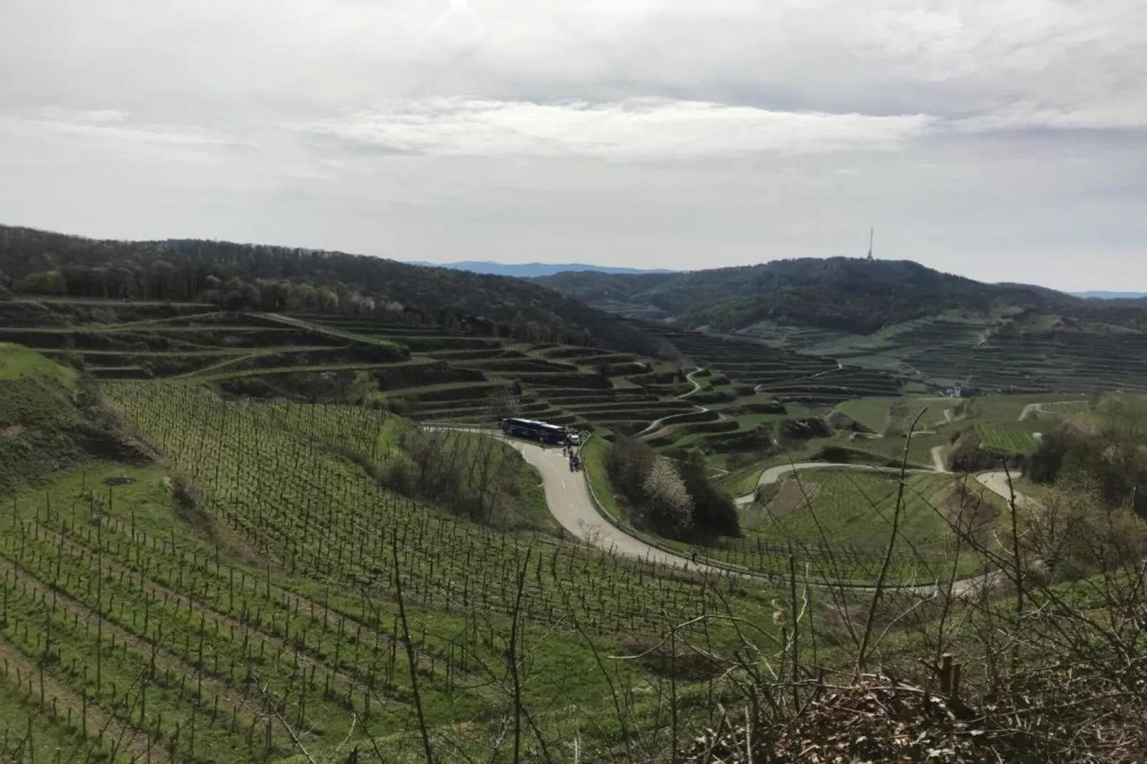 Luxuriöses Wohnen im historischen Haus-Gebieden zomer 5km