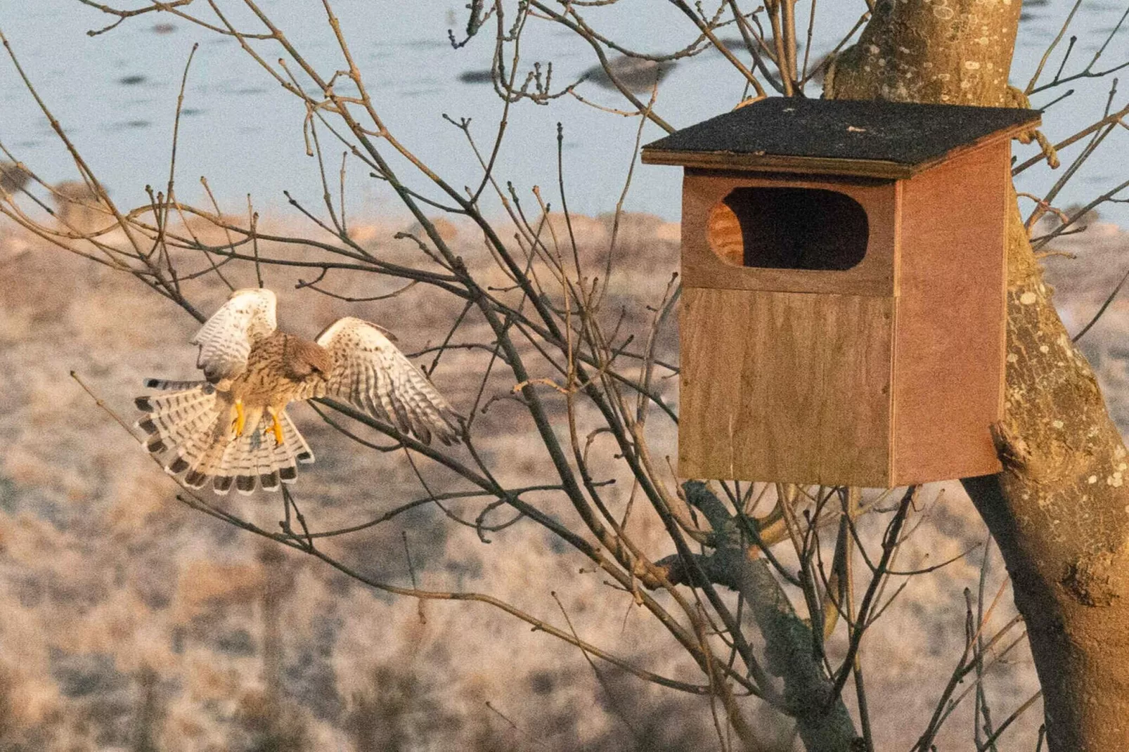 5 sterren vakantie huis in Holbæk-Niet-getagd