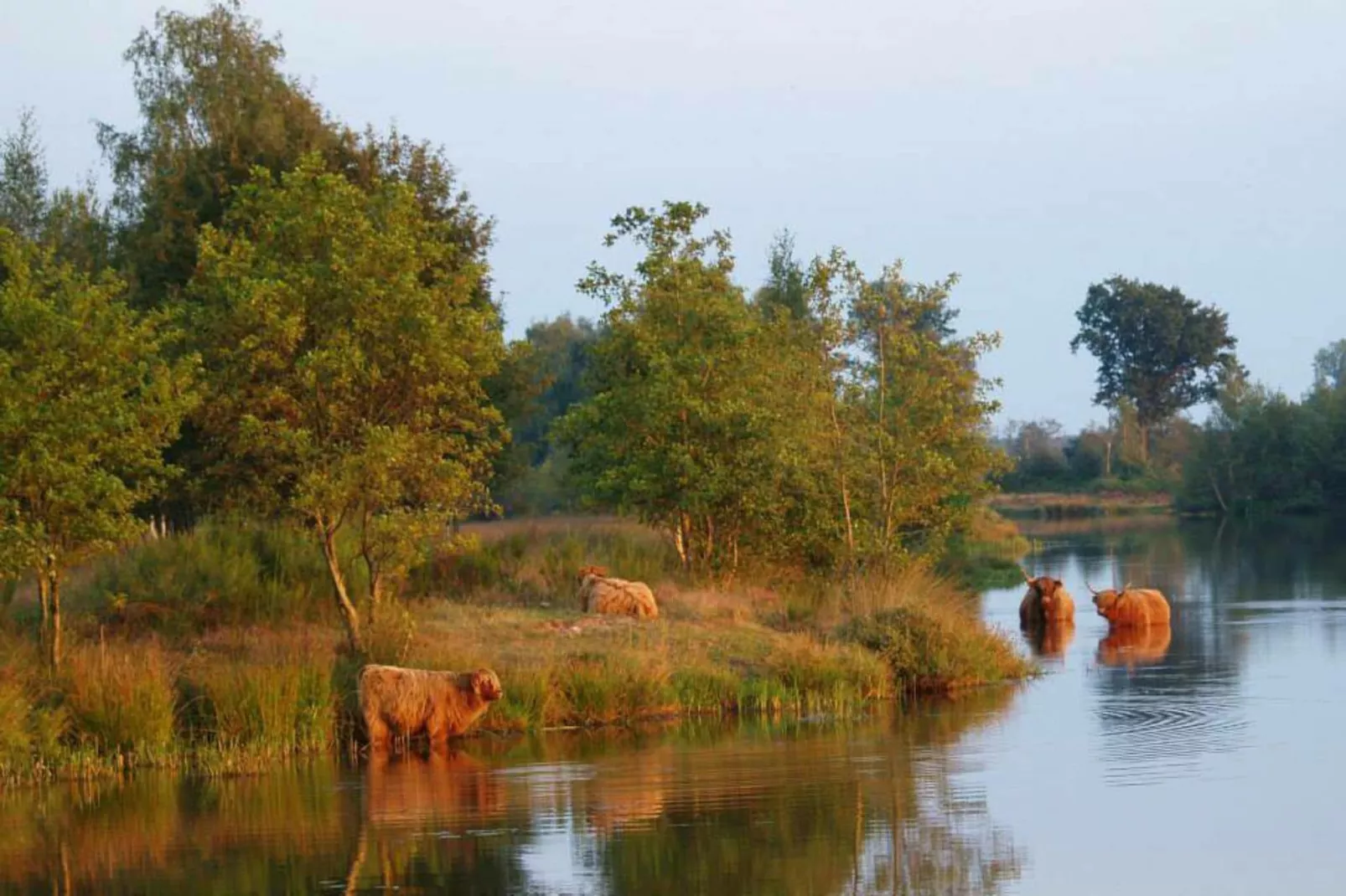 Happy bee lodge l 5 persons-Gebieden zomer 5km