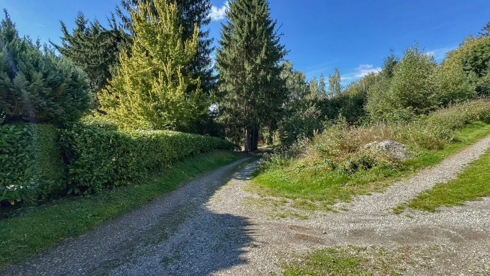 Am Arnsberg-Uitzicht zomer