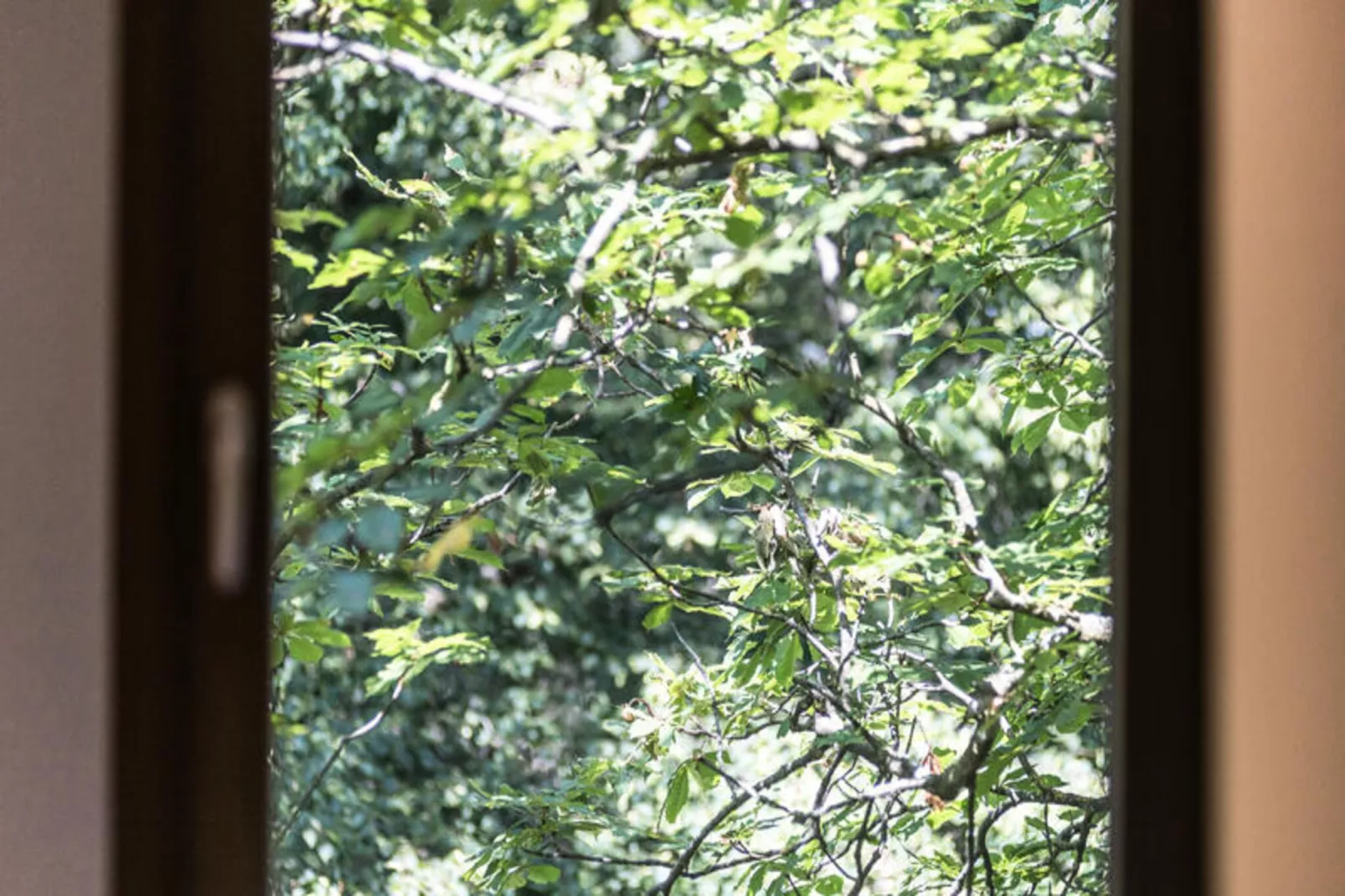 Maison à Sant Hilari Sacalm-Niet-getagd