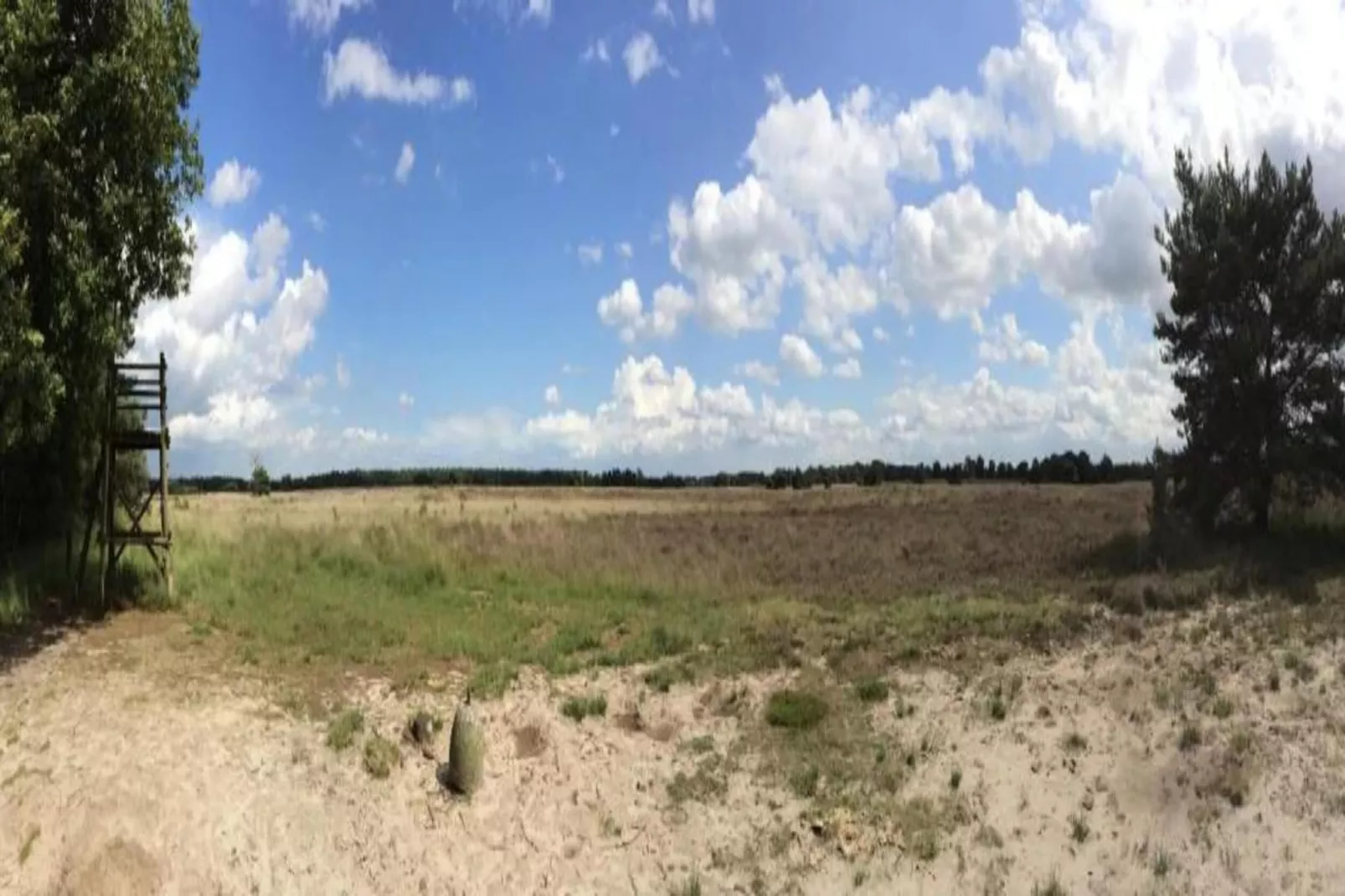 Vakantiepark Molenvelden 6-Gebieden zomer 20km