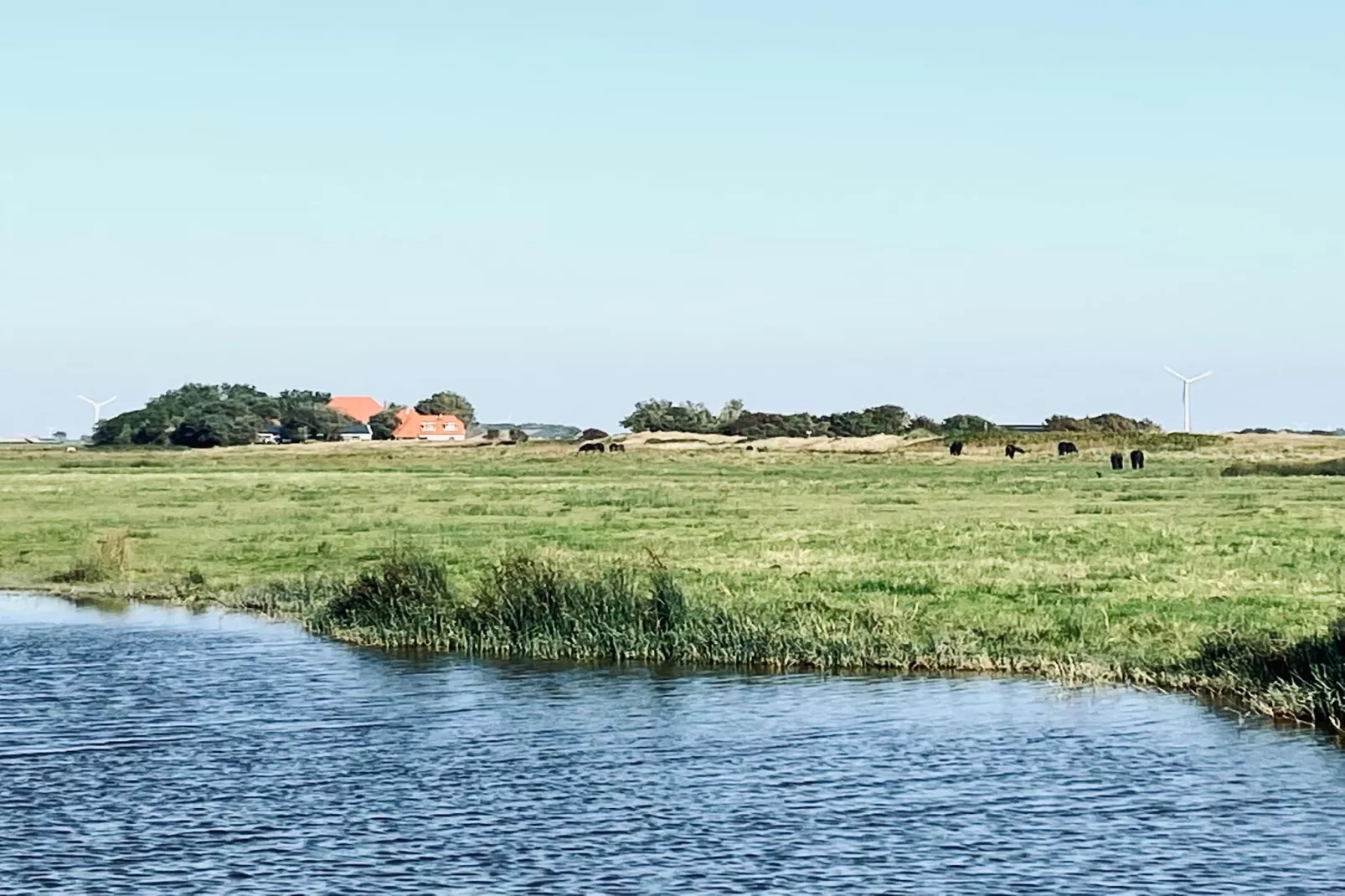 INFINITY-Gebieden zomer 5km