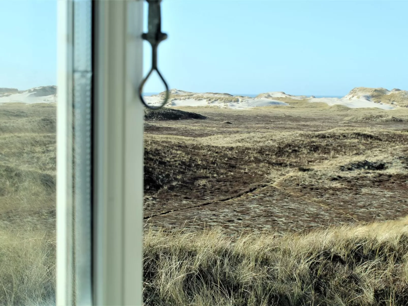 "Swanja" -  from the sea-Binnen