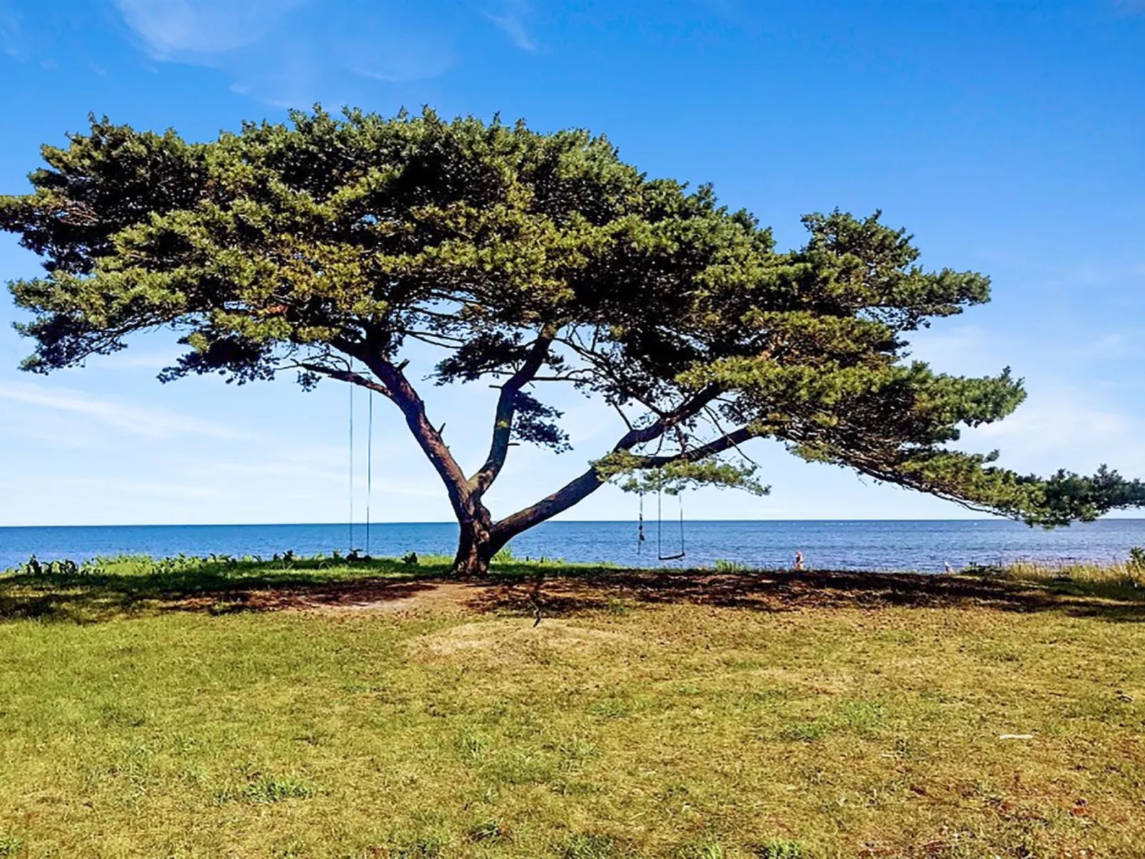 "Anemette" - 100m from the sea-Buiten