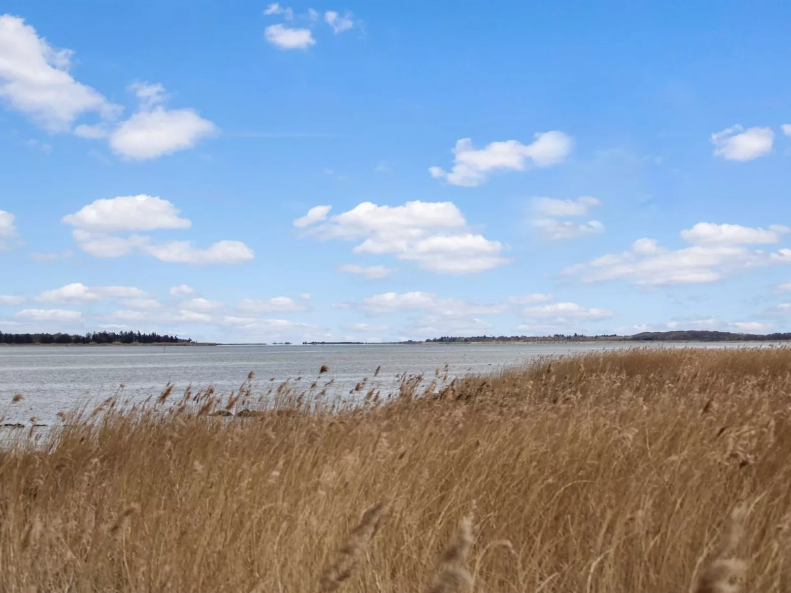 "Bendine" - 100m to the fjord-Buiten