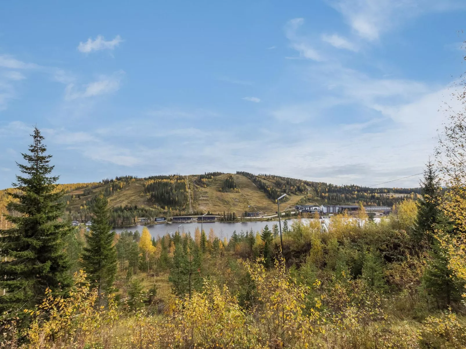 Alppikylä 1a paritalo-Binnen