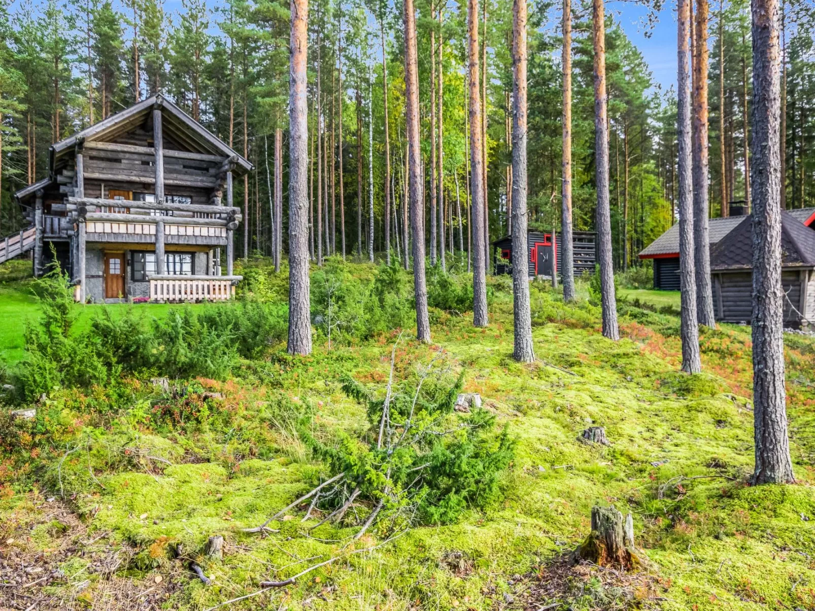 Mäntyranta lodge-Binnen