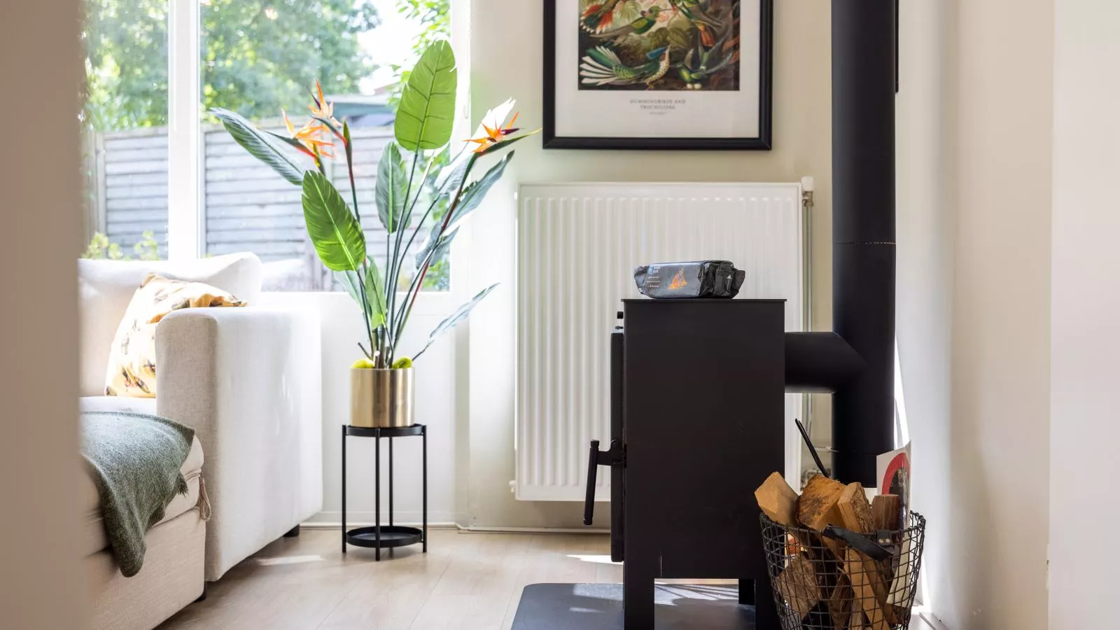 Kolibrie-Faciliteiten