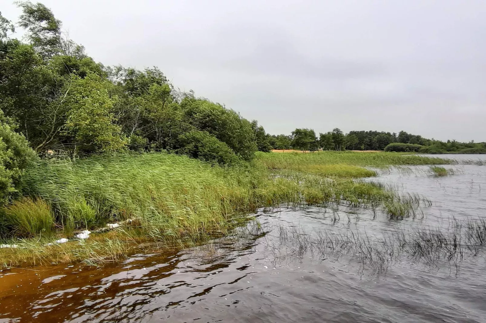 5 sterren vakantie huis in Ansager-Waterzicht