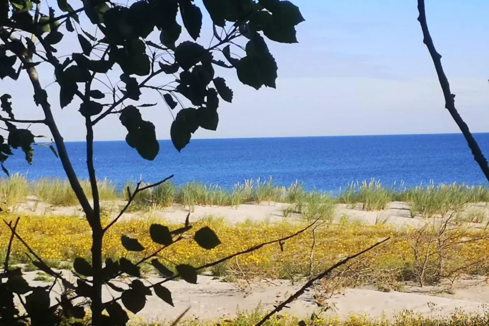 Nr5 - Schwalbennest 6 Personen-Gebieden zomer 5km