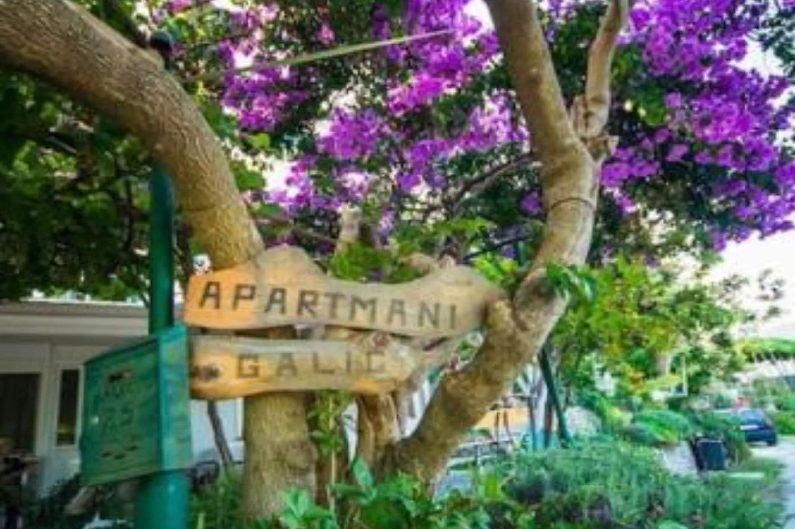 Two-Bedroom Apartment With Lake View-Buitenlucht