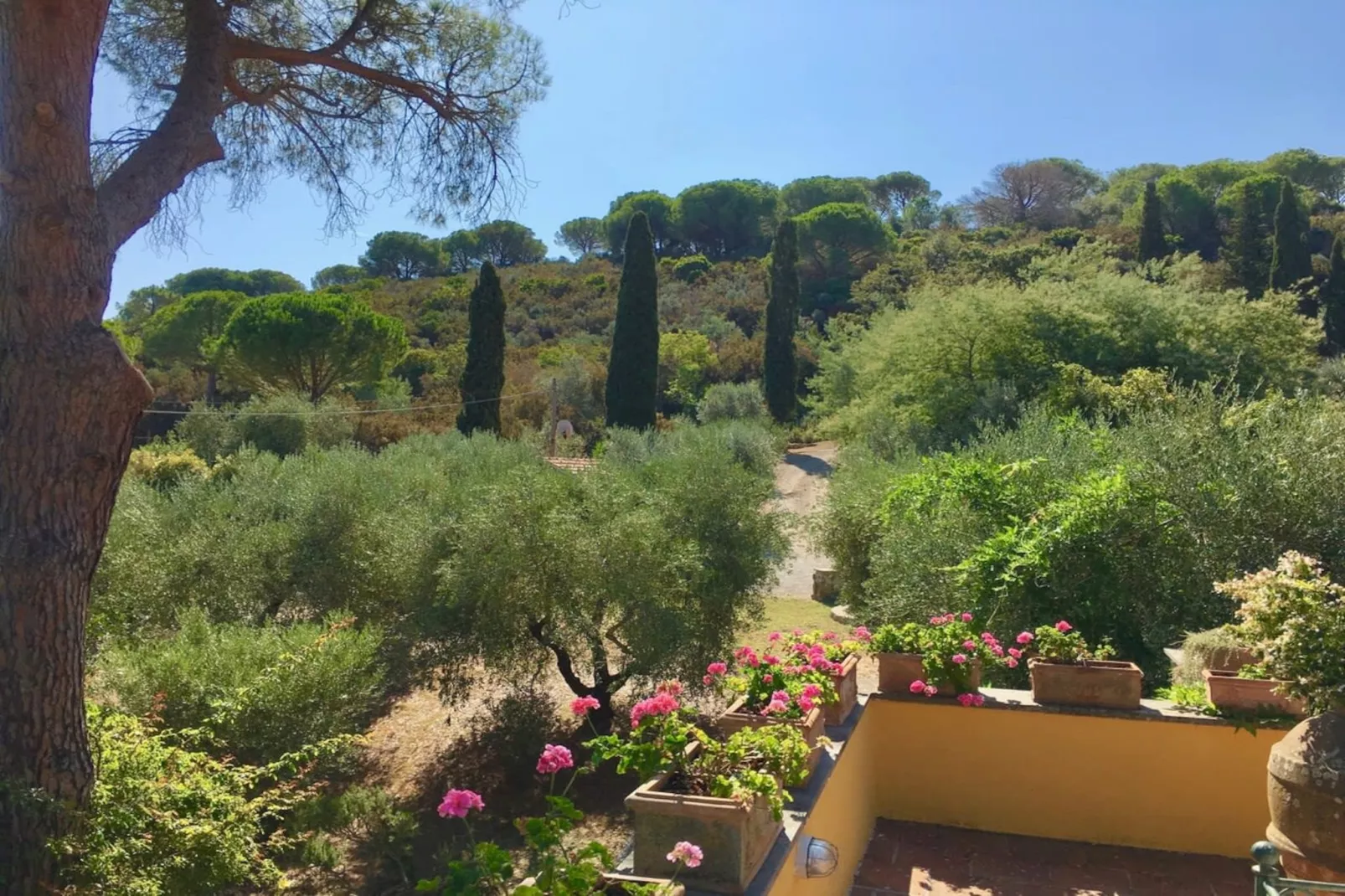 Villa della Fonte-Uitzicht zomer