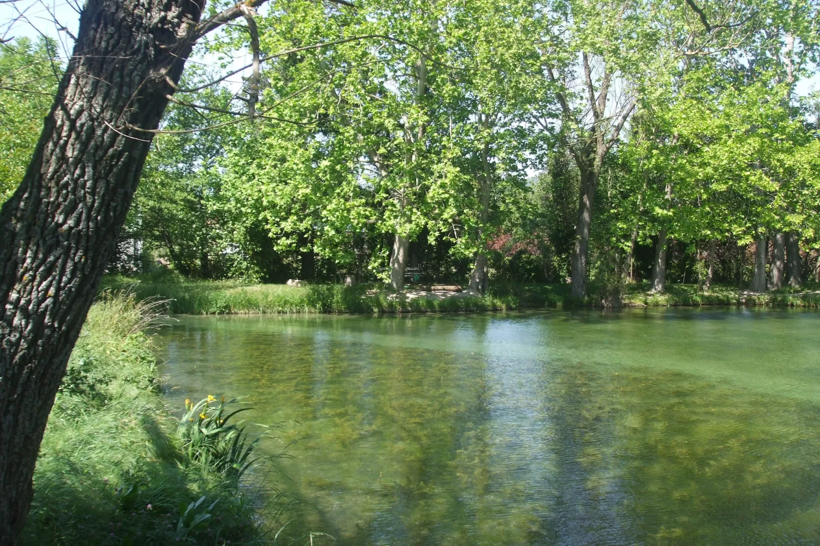 Prachtig vakantiehuis met privézwembad