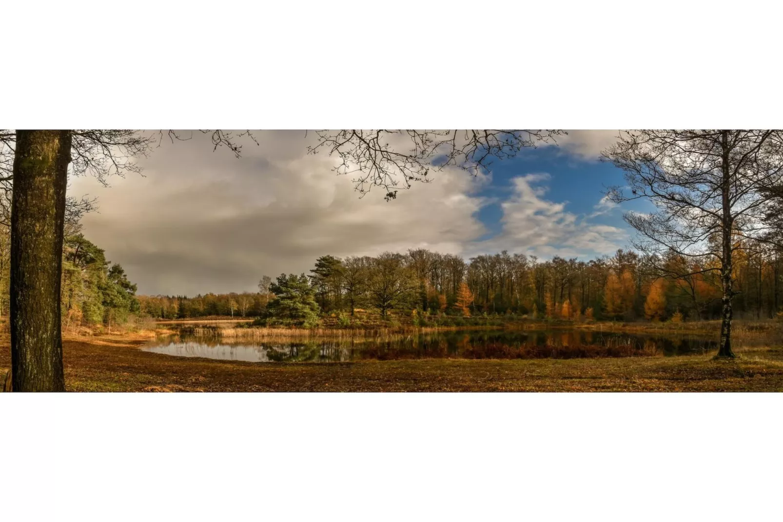 Boslodge l 4 persons-Gebieden zomer 20km