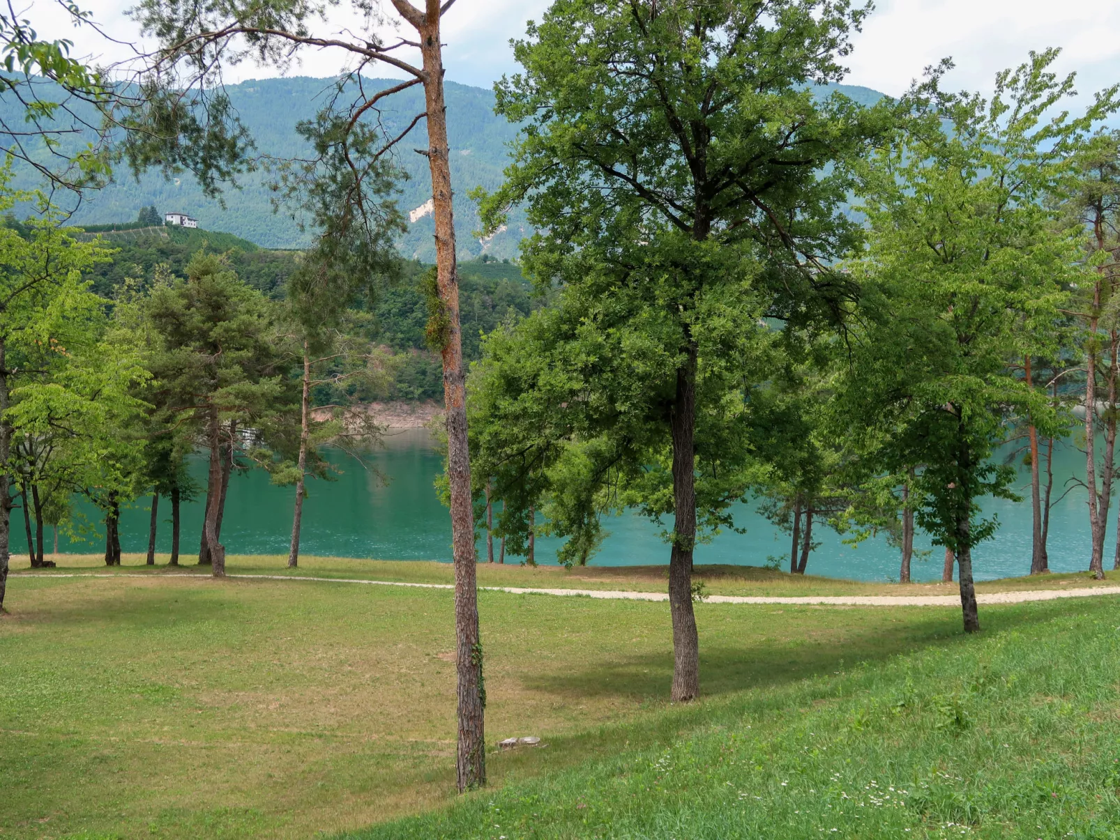 Maset Pozzati-Omgeving