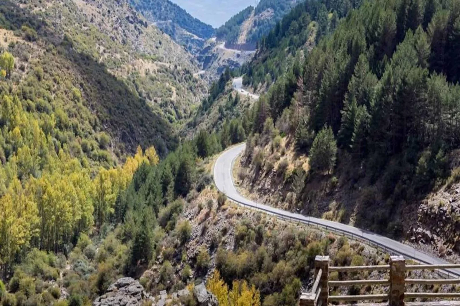 4608-Andrés-707-Gebieden zomer 20km