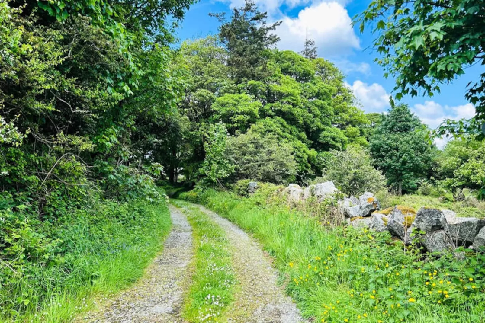 Maison à Rosmuck-Niet-getagd
