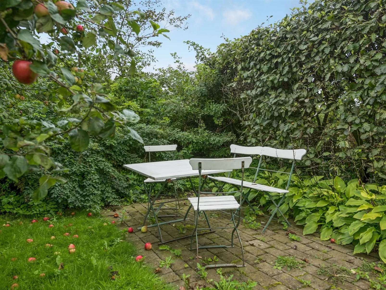 "Clausina" - 600m from the sea-Buiten